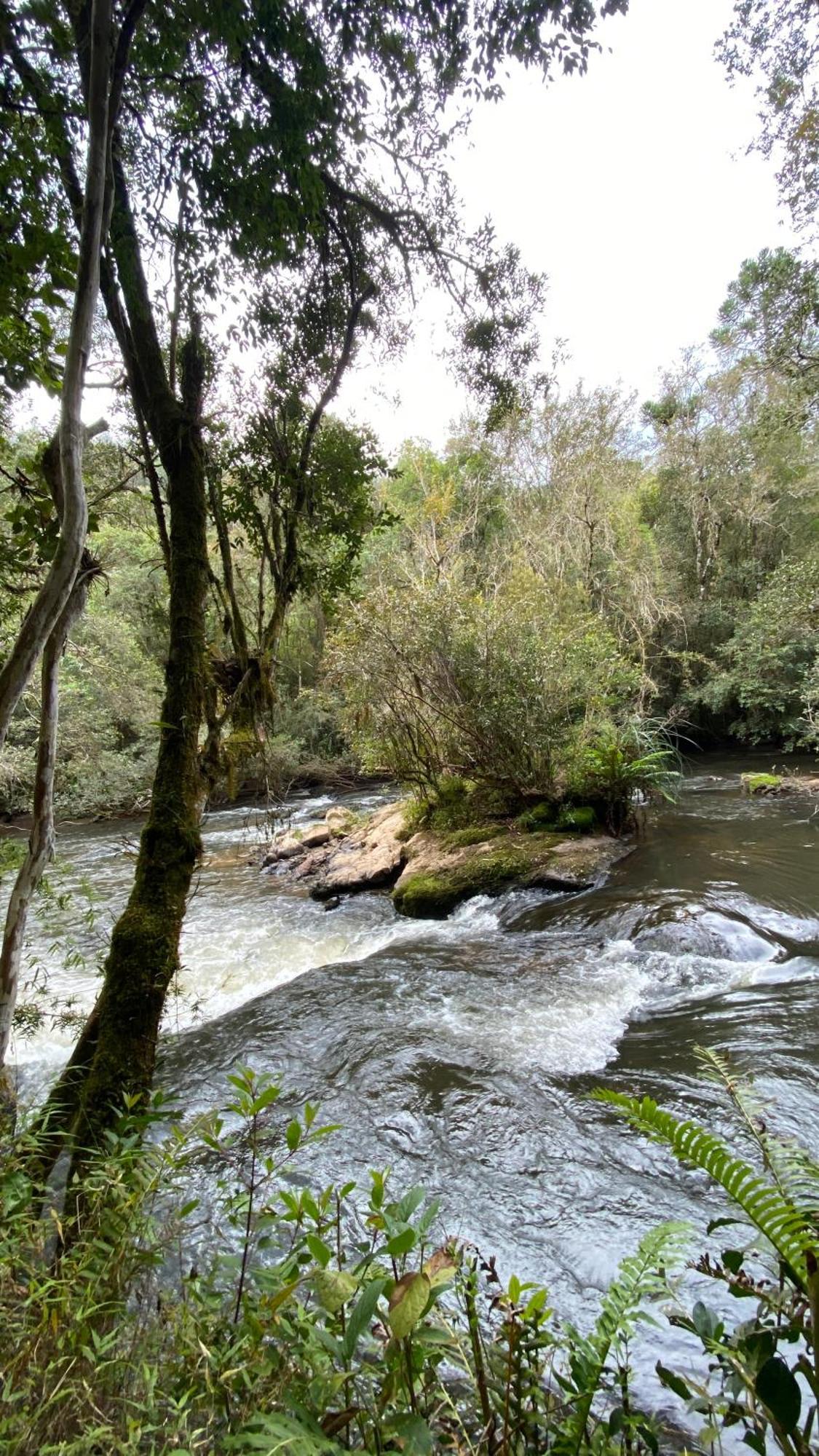 Pousada Recanto Do Saua - Monte Verde Monte Verde  Exterior foto